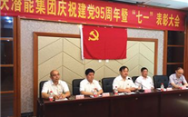 欧博abg官网集团召开庆祝建党95周年暨“七一”表彰大会